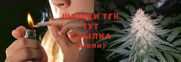 первитин Новодвинск