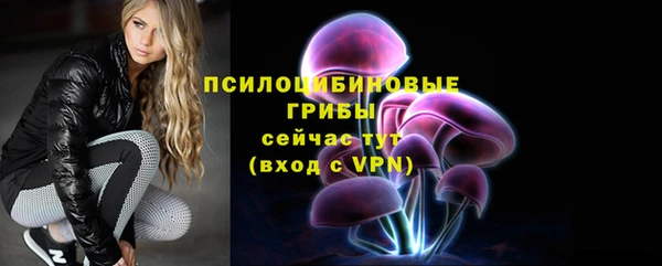 первитин Новодвинск