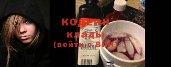 первитин Новодвинск