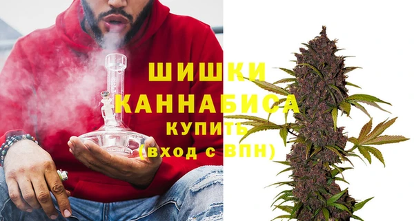 первитин Новодвинск